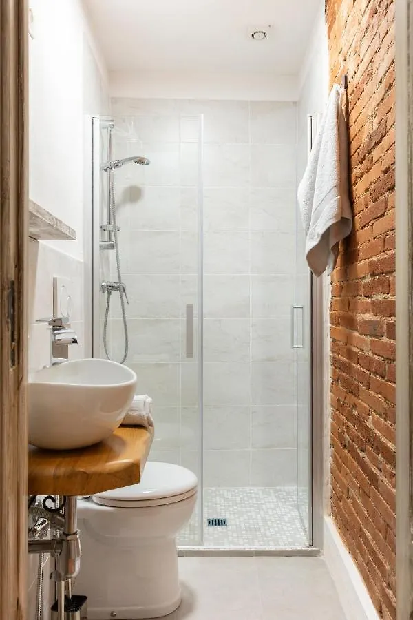 Central Studio S. Spirito, Ac Florence 0*,
